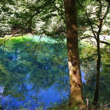 La Source du Planey