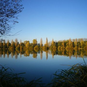 Lac de Vesoul-Vaivre 