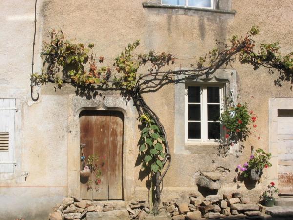 Maison vigneronne à Chariez